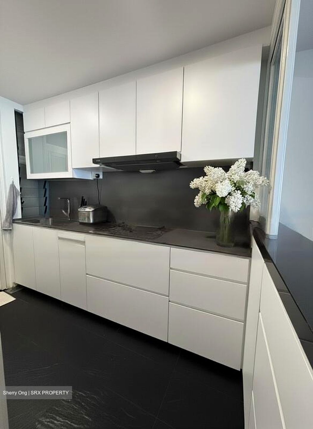 Sanctuary Green (D15), Condominium #484237391